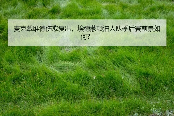 mai-ke-dai-wei-de-shang-yu-fu-chu-ai-de-meng-dun-you-ren-dui-ji-hou-sai-qian-jing-ru-he-2-966.jpg