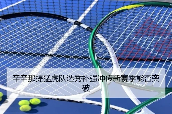 辛辛那提猛虎队选秀补强冲传新赛季能否突破
